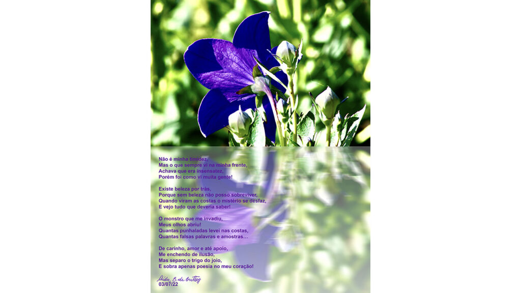 Outra arte de exposição Poeta Visual em Julho de 2024!